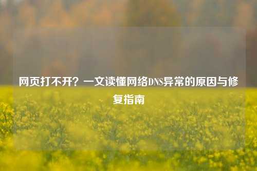 网页打不开？一文读懂网络DNS异常的原因与修复指南