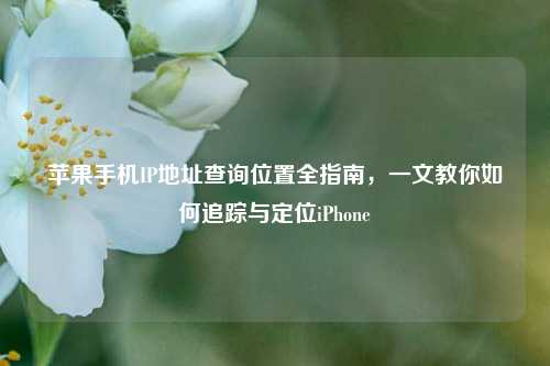 苹果手机IP地址查询位置全指南，一文教你如何追踪与定位iPhone