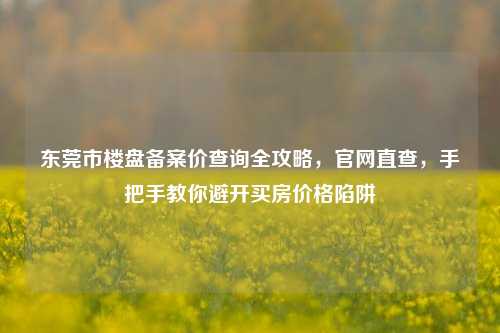 东莞市楼盘备案价查询全攻略，官网直查，手把手教你避开买房价格陷阱