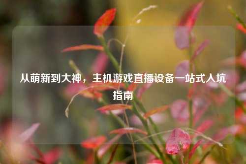 从萌新到大神,主机游戏直播设备一站式入坑指南