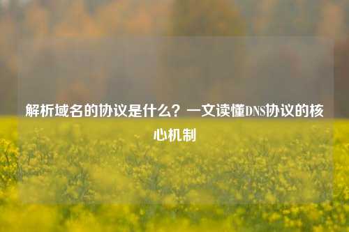 解析域名的协议是什么？一文读懂DNS协议的核心机制