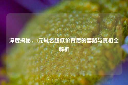 深度揭秘，1元域名超低价背后的套路与真相全解析