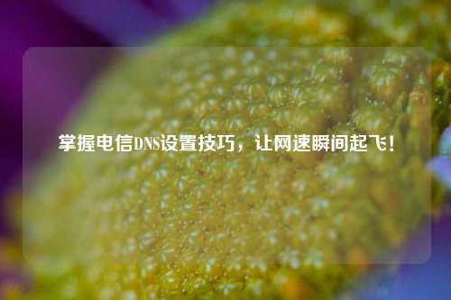 掌握电信DNS设置技巧，让网速瞬间起飞！