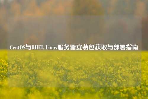 CentOS与RHEL Linux服务器安装包获取与部署指南