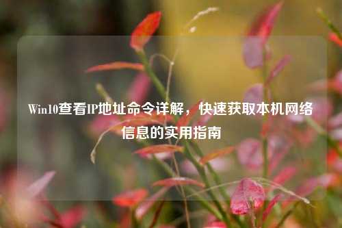 Win10查看IP地址命令详解，快速获取本机网络信息的实用指南