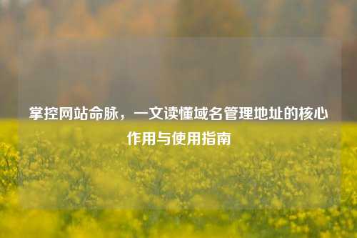 掌控网站命脉,一文读懂域名管理地址的核心作用与使用指南