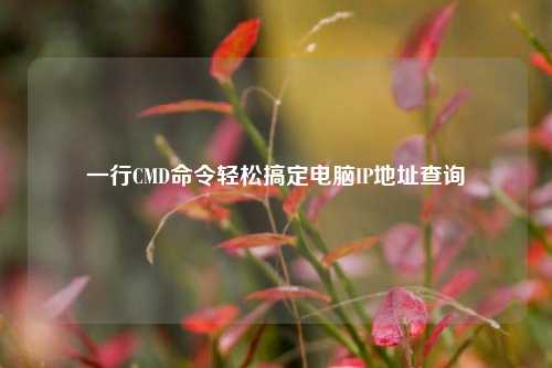 一行CMD命令轻松搞定电脑IP地址查询