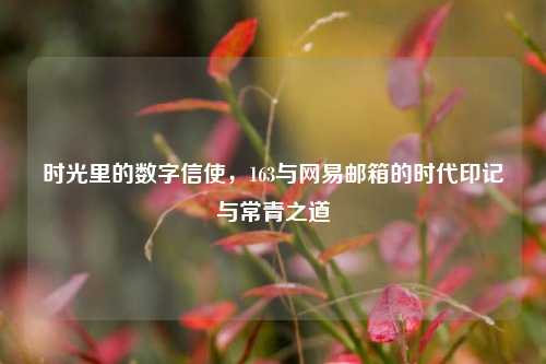 时光里的数字信使,163与网易邮箱的时代印记与常青之道