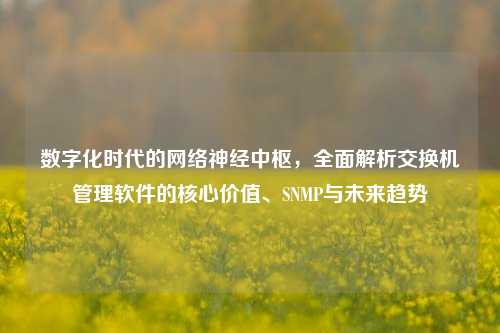 数字化时代的网络神经中枢，全面解析交换机管理软件的核心价值、SNMP与未来趋势