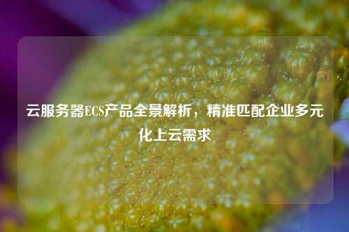 云服务器ECS产品全景解析,精准匹配企业多元化上云需求