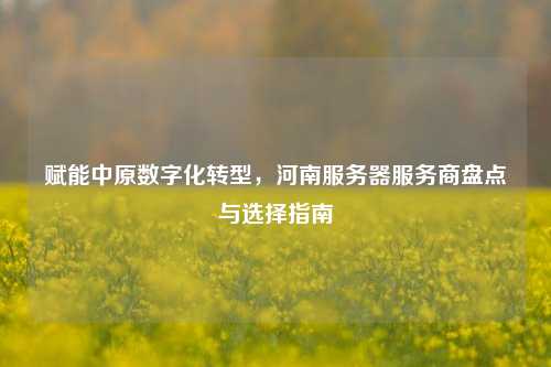 赋能中原数字化转型,河南服务器服务商盘点与选择指南