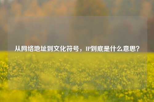 从网络地址到文化符号,IP到底是什么意思?