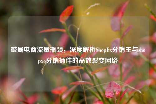 破局电商流量瓶颈,深度解析ShopEx分销王与shopxo分销插件的高效裂变网络
