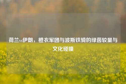 荷兰vs伊朗,橙衣军团与波斯铁骑的绿茵较量与文化碰撞