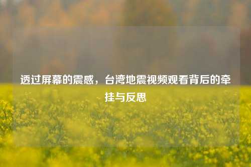 透过屏幕的震感,台湾地震视频观看背后的牵挂与反思