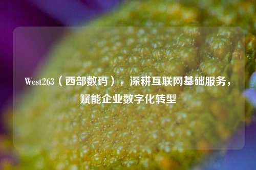 West263(西部数码),深耕互联网基础服务,赋能企业数字化转型