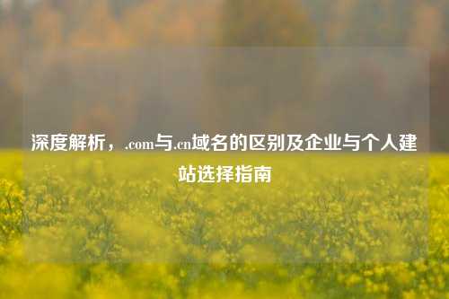 深度解析,.com与.cn域名的区别及企业与个人建站选择指南
