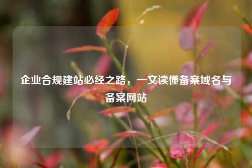 企业合规建站必经之路，一文读懂备案域名与备案网站