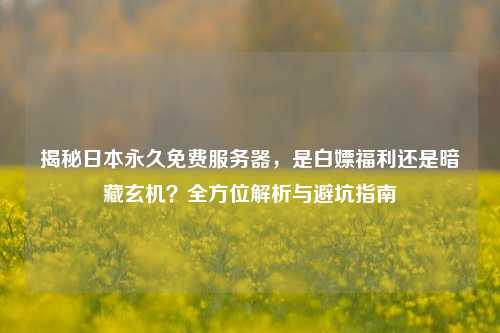 揭秘日本永久免费服务器,是白嫖福利还是暗藏玄机?全方位解析与避坑指南