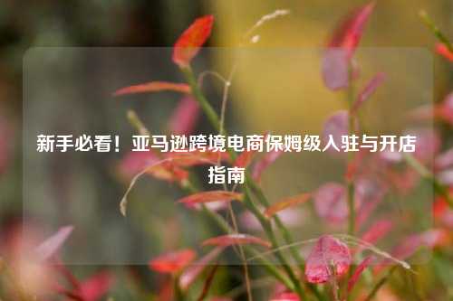 新手必看！亚马逊跨境电商保姆级入驻与开店指南