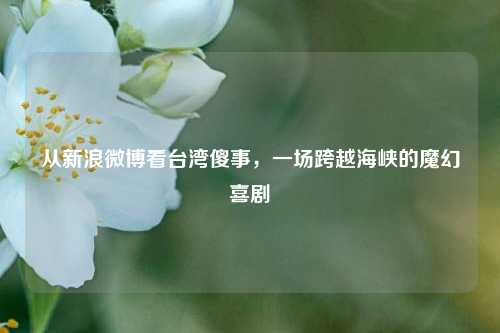 从新浪微博看台湾傻事，一场跨越海峡的魔幻喜剧