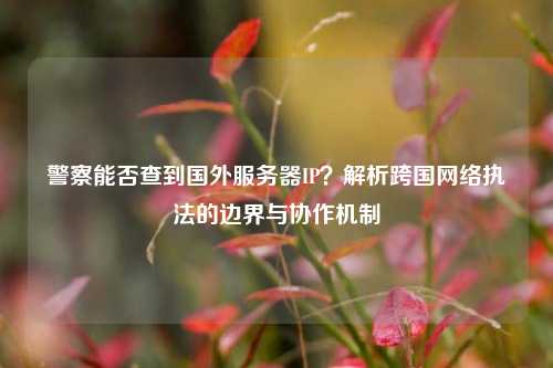 警察能否查到国外服务器IP？解析跨国网络执法的边界与协作机制