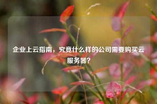 企业上云指南，究竟什么样的公司需要购买云服务器？