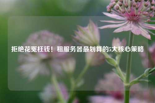拒绝花冤枉钱！租服务器最划算的5大核心策略