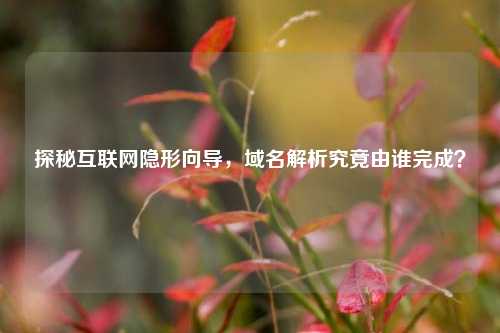 探秘互联网隐形向导，域名解析究竟由谁完成？