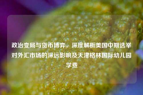 政治变局与货币博弈，深度解析美国中期选举对外汇市场的深远影响及天津格林国际幼儿园学费