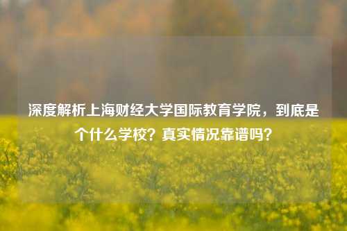 深度解析上海财经大学国际教育学院，到底是个什么学校？真实情况靠谱吗？