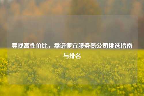 寻找高性价比，靠谱便宜服务器公司挑选指南与排名