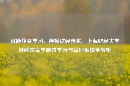 赋能终身学习，连接财经未来，上海财经大学继续教育学院教学网与管理系统全解析