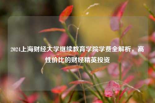 2024上海财经大学继续教育学院学费全解析，高性价比的财经精英投资