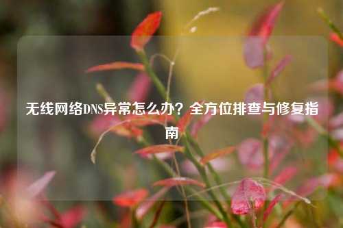 无线网络DNS异常怎么办？全方位排查与修复指南