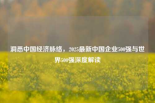 洞悉中国经济脉络，2025最新中国企业500强与世界500强深度解读