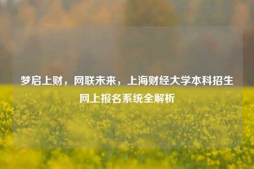 梦启上财，网联未来，上海财经大学本科招生网上报名系统全解析