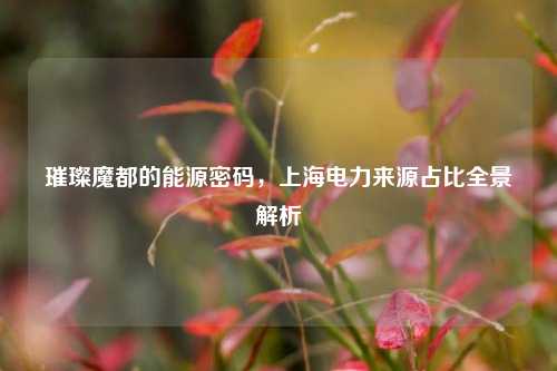 璀璨魔都的能源密码，上海电力来源占比全景解析