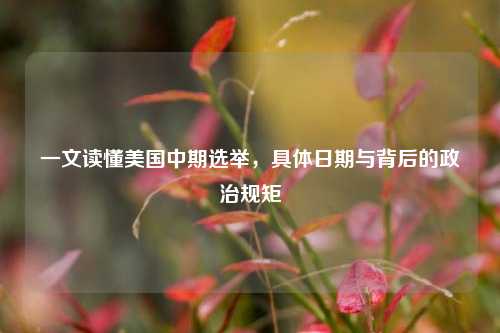 一文读懂美国中期选举，具体日期与背后的政治规矩