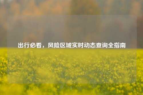 出行必看，风险区域实时动态查询全指南