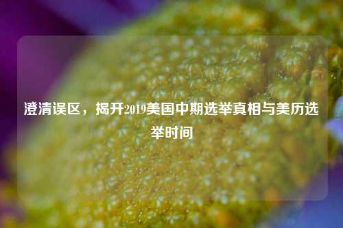 澄清误区,揭开2019美国中期选举真相与美历选举时间