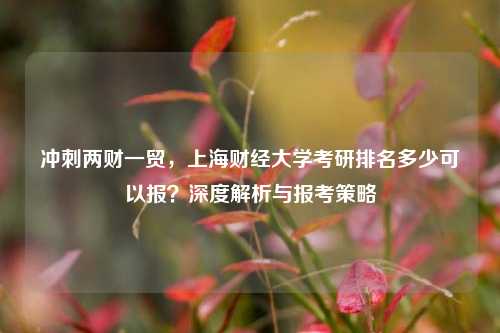 冲刺两财一贸，上海财经大学考研排名多少可以报？深度解析与报考策略