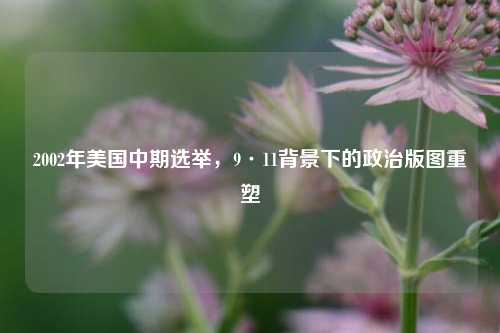 2002年美国中期选举，9·11背景下的政治版图重塑