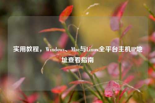 实用教程,Windows、Mac与Linux全平台主机IP地址查看指南
