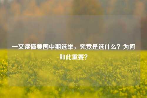 一文读懂美国中期选举，究竟是选什么？为何如此重要？