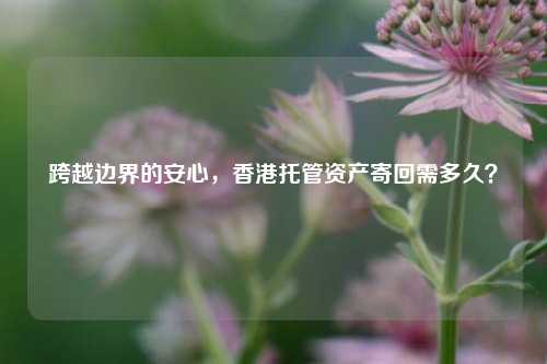 跨越边界的安心，香港托管资产寄回需多久？