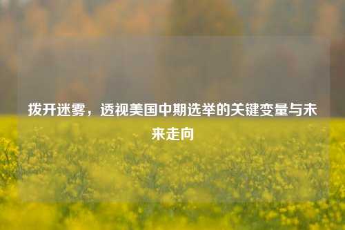 拨开迷雾，透视美国中期选举的关键变量与未来走向