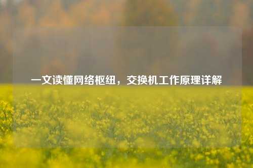 一文读懂网络枢纽，交换机工作原理详解