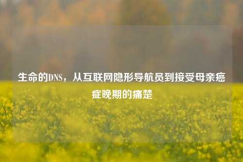 生命的DNS，从互联网隐形导航员到接受母亲癌症晚期的痛楚