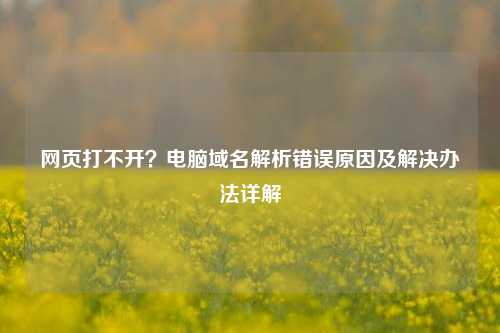 网页打不开？电脑域名解析错误原因及解决办法详解